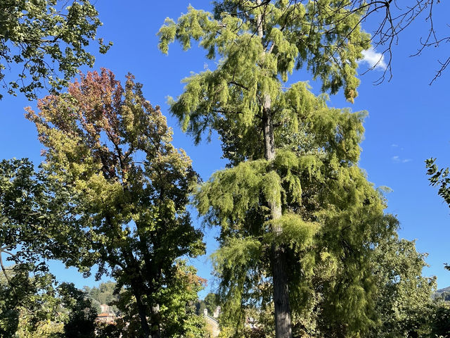Valentino Park