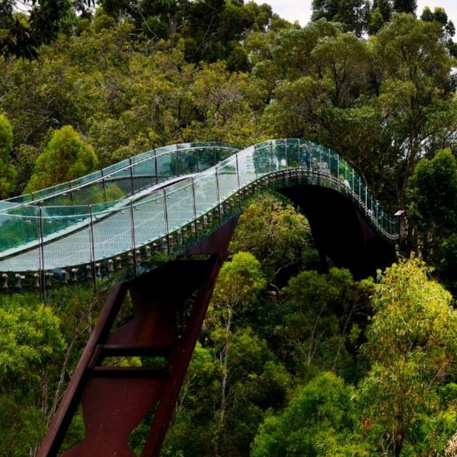 Perth on the Cheap: Essential Guide