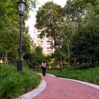 Green Escapes in the Concrete Jungle – The Many Beautiful Parks of Shanghai 🌿🏙️🌸