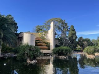 Пруд с утками