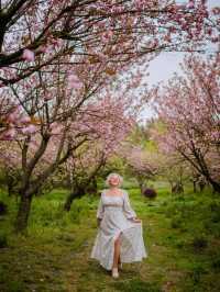 Сад Пинба в долине Гуйчжоу