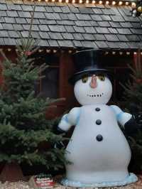 Winter Market Magic🎄