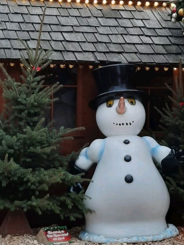 Winter Market Magic🎄 Winter Market Magic🎄