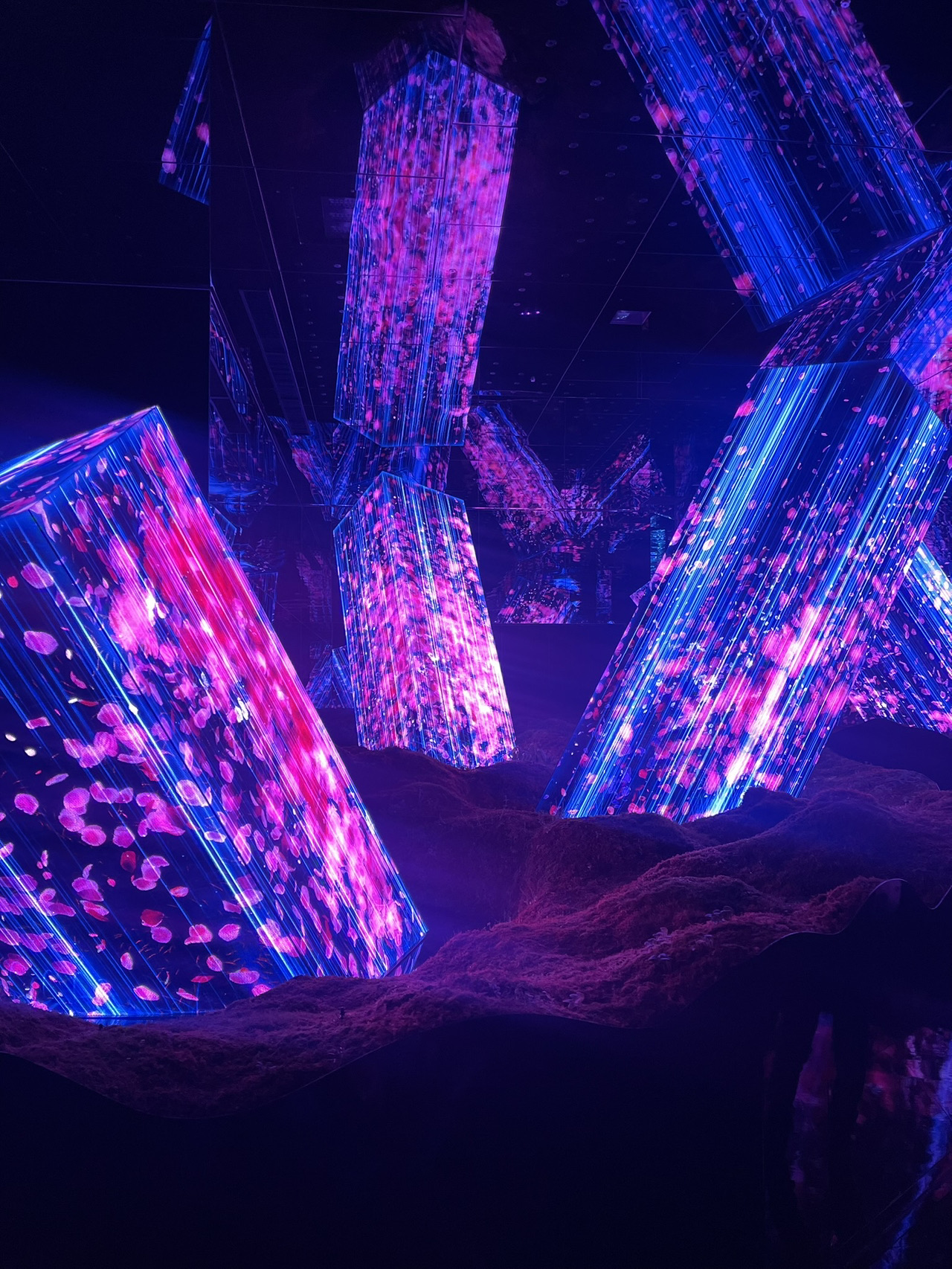 teamLab Kyoto 😍