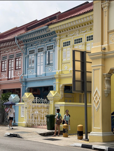 🇸🇬 シンガポールのカラフルな家——気づかず通り過ぎてしまうフォト