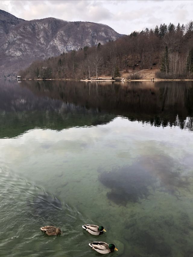 There is a kind of lake view called picturesque and tranquil.