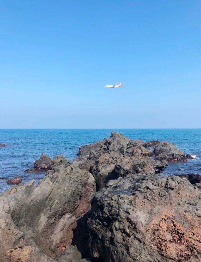 Like a dragon plunging into the sea, the unique natural landscape - Jeju Island's Dragon Head Rock.