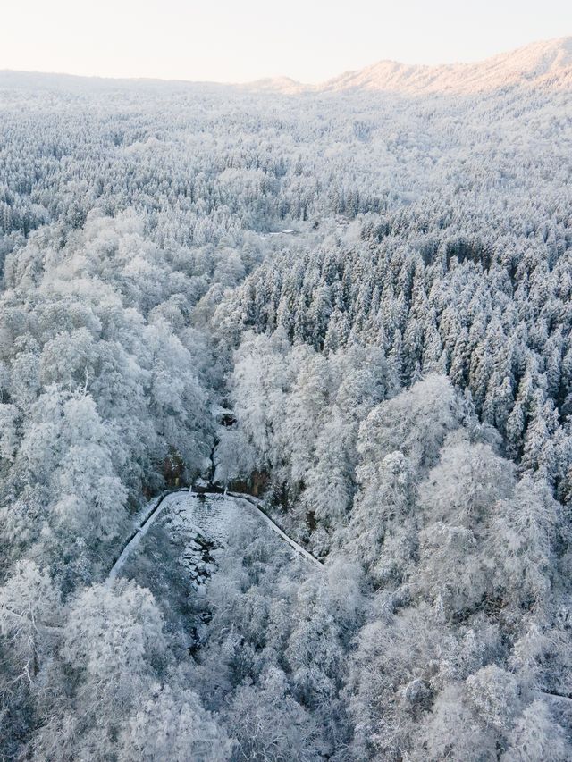 從成都出發2小時，這個冬天請不要再錯過這個寶藏耍雪地