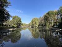 走進千年古樹公園