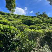 Little Adam’s Peak