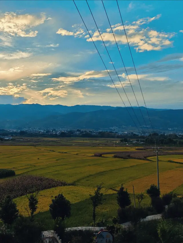 Shaxi: The paddy field on the way to the Half Mountain Coffee is so healing!