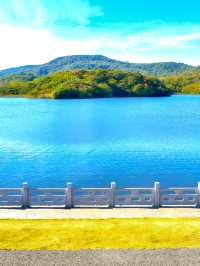 南京老山國家森林公園 | 森林氧吧，徒步踏青好去處