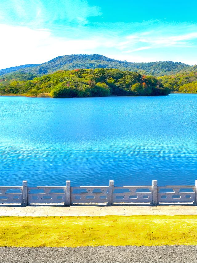 南京老山國家森林公園 | 森林氧吧，徒步踏青好去處