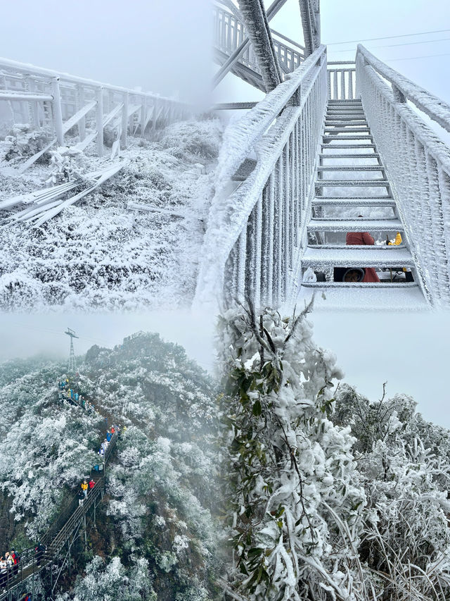 廣東也能看雪？這 6 個賞雪好去處快收好！