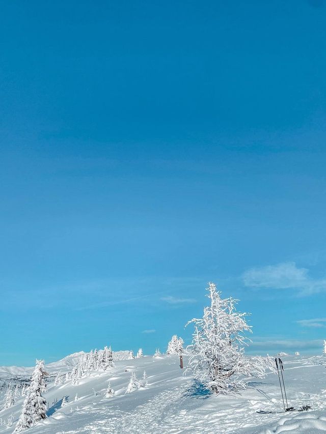 班夫滑雪勝地——班夫陽光滑雪場