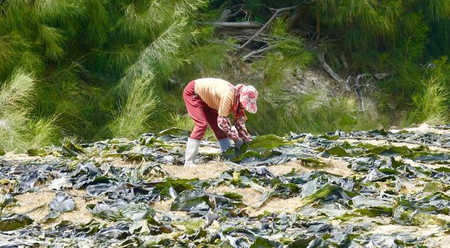 福州目屿島，最美小眾原生態