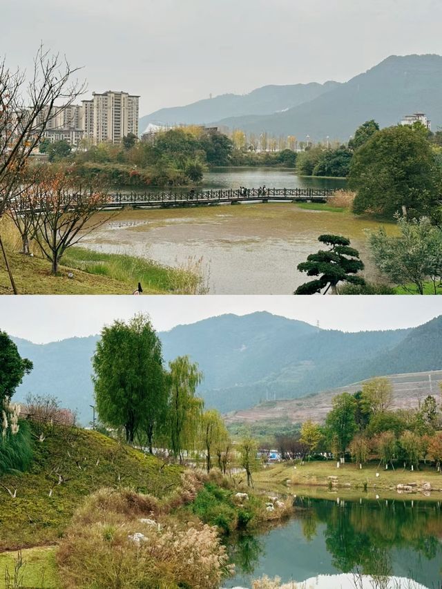 蓮花湖 大氣但不大眾的寶藏地