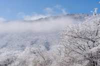 龍王山下雪了！霧凇真的好看！江浙滬1日來回