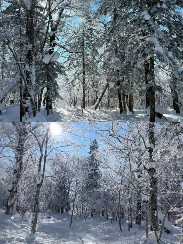 童話世界，冬日裡的中國雪鄉