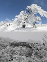 一家下樓就可以滑雪的酒店太酷啦