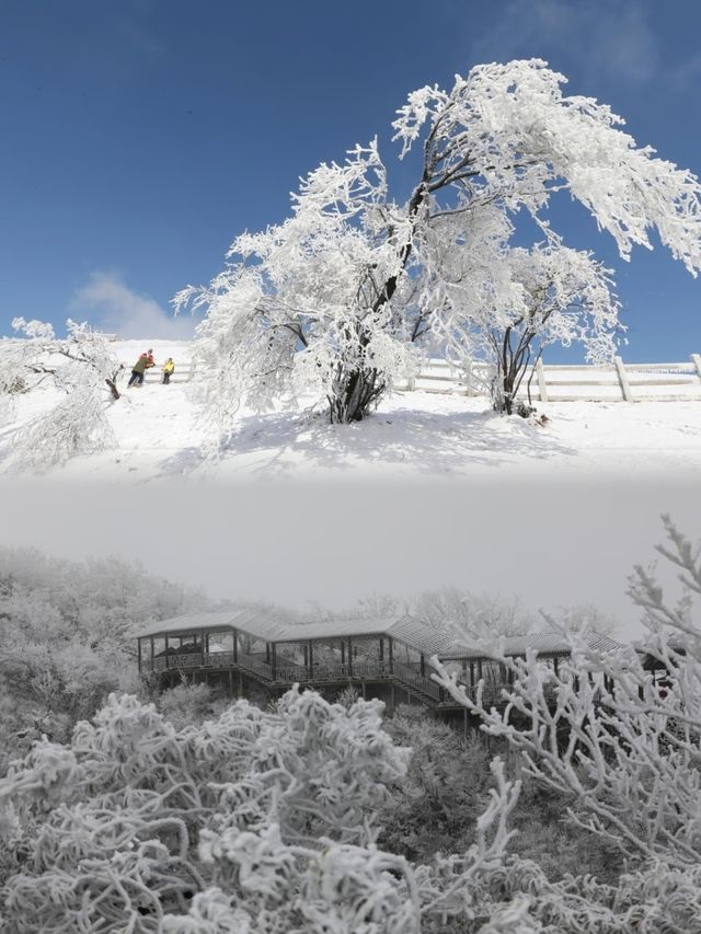 一家下樓就可以滑雪的酒店太酷啦
