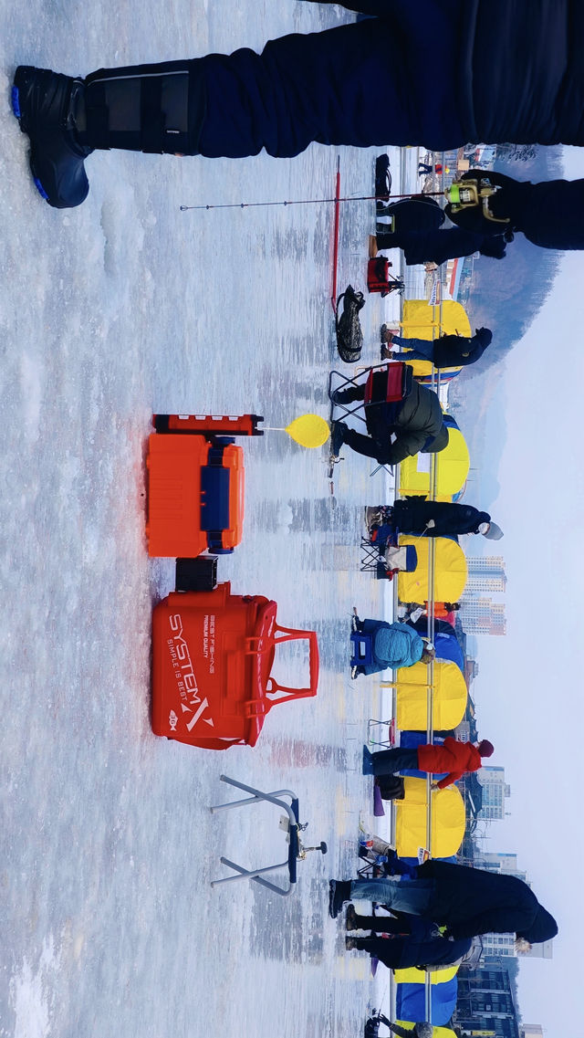 在冰上享受親手釣魚之趣，平昌鱒魚慶典