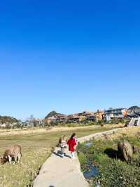 冬天的普者黑 | 才是反向旅行最佳目的地
