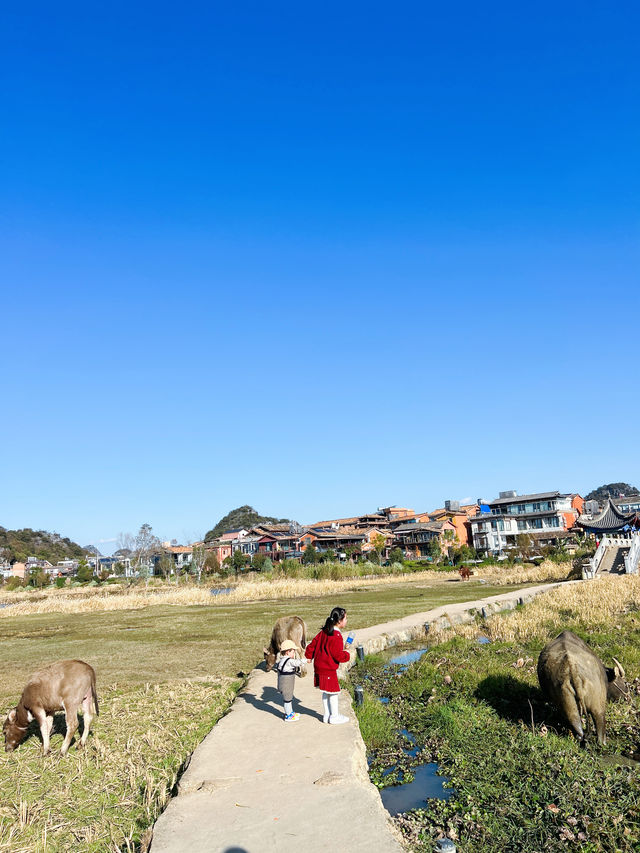 冬天的普者黑 | 才是反向旅行最佳目的地