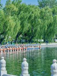 來北京一起吹吹什剎海的風吧