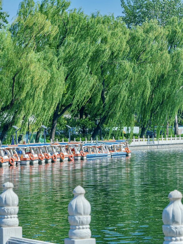 來北京一起吹吹什剎海的風吧