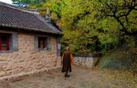 隱藏在千山腳下的百年古寺皈源寺