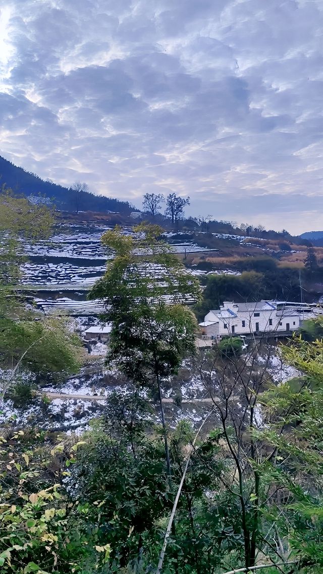 在雲端，安徽休寧金龍山上海拔972米