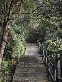 福建竟然藏著這麼一個仙境   福建靈通山