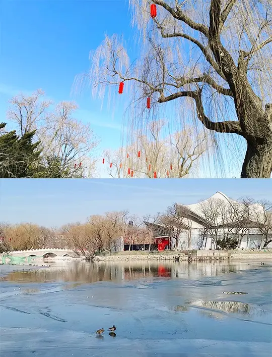 Beijing Temple Fair｜Longtan Lake Park Temple Fair