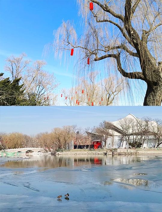 北京廟會｜龍潭湖公園廟會