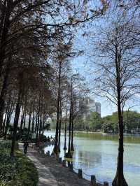 洪湖公園的 紅