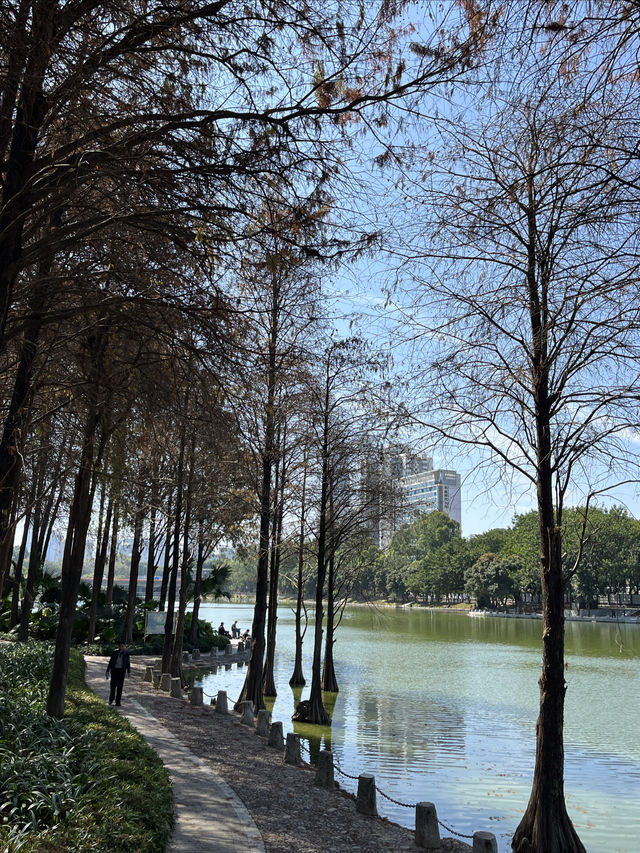 洪湖公園的 紅