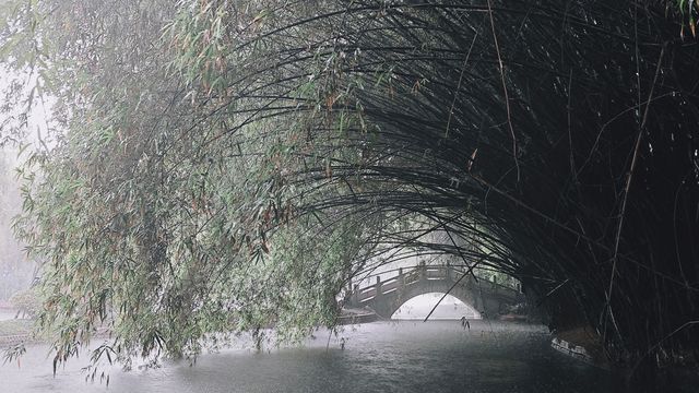 在雨中尋找棠湖