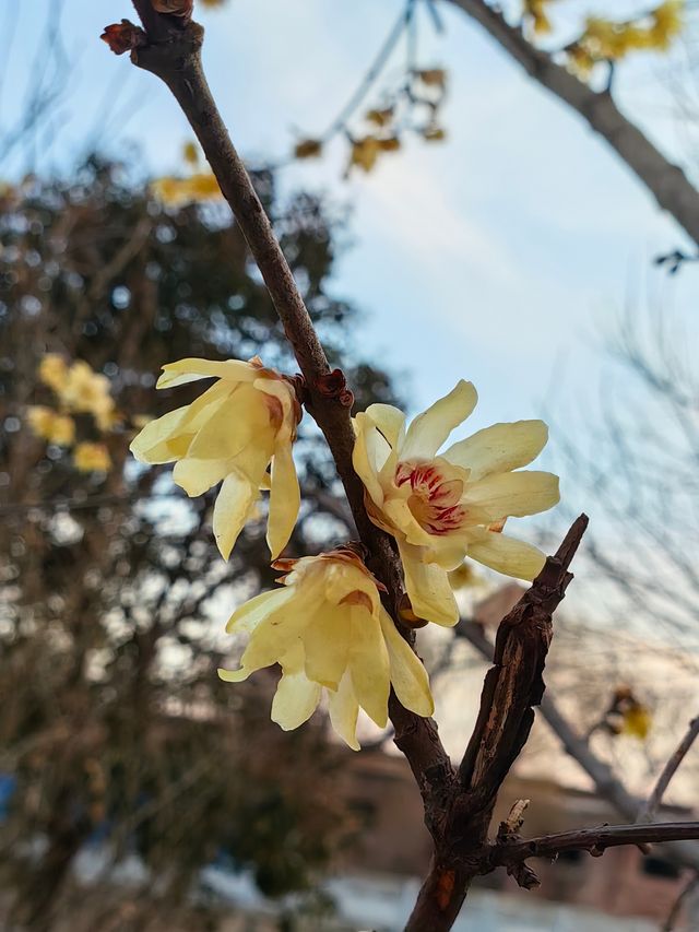 曹魏古城～三國文化之旅