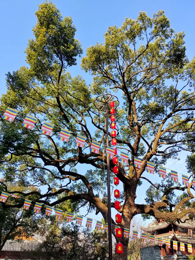 Jingci Temple