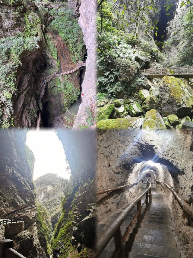 重慶龍水峽地縫：地球的神秘傷痕與再生之美