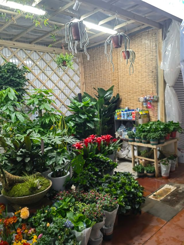 值得一逛的濟南花卉水族市場