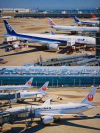 日本人文｜探訪日本航空第一門戶，羽田國際空港