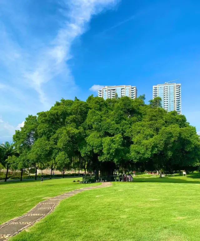 南頭古城-荷蘭花卉小鎮-中山公園 一日遊