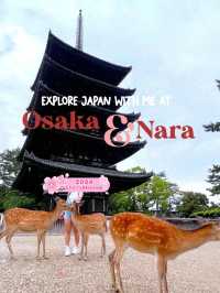 Nara Deer Park in Osaka🦌