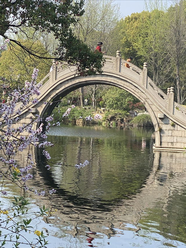 不去園林怎知春色幾許｜太倉·南園