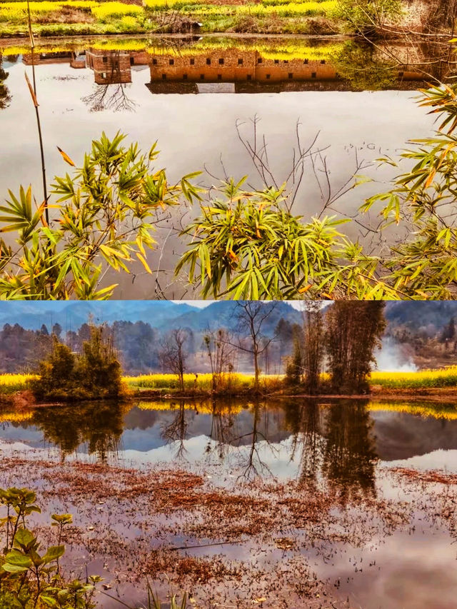 贛州龍南｜你玩得可真花啊！小眾採風自駕賞花指南