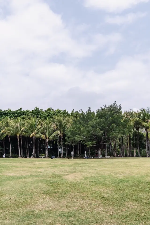 Here is Sanya|Shenzhen Coastal Ecopark Travel Guide