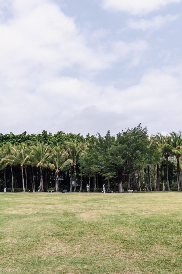 這裡是三亞|深圳海濱生態公園遊玩攻略