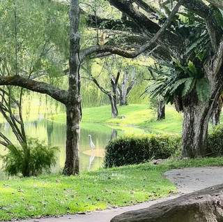 Weekend Destinations in Singapore: Pasir Ris Park/Bishan-Ang Mo Kio Park